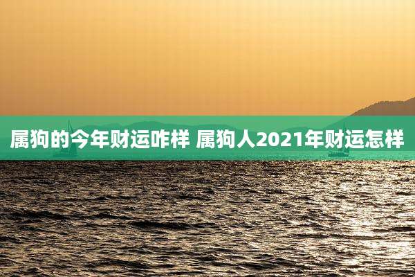 属狗的今年财运咋样 属狗人2021年财运怎样