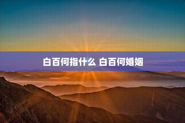 白百何指什么 白百何婚姻