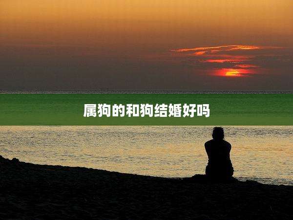 属狗的和狗结婚好吗