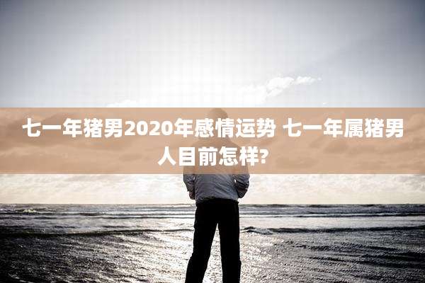 七一年猪男2020年感情运势 七一年属猪男人目前怎样?