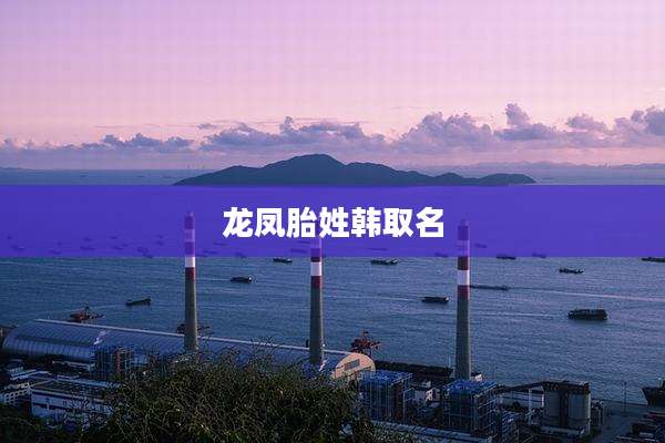 龙凤胎姓韩取名