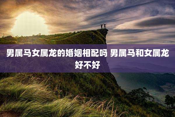 男属马女属龙的婚姻相配吗 男属马和女属龙好不好