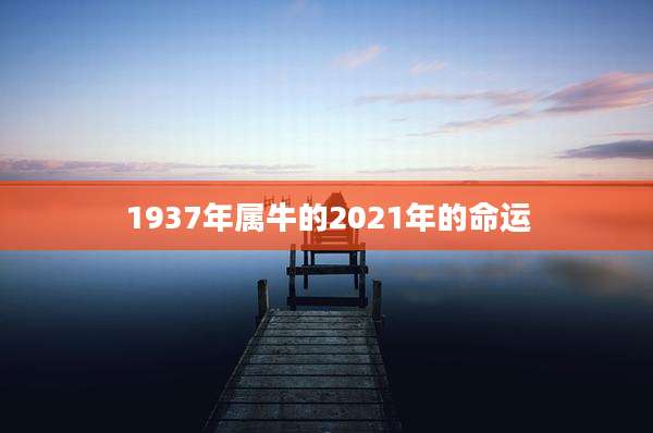 1937年属牛的2021年的命运