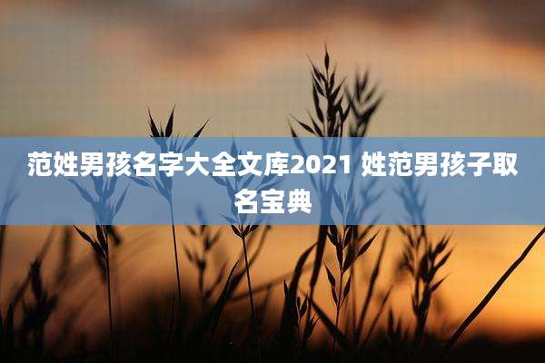 范姓男孩名字大全文库2021 姓范男孩子取名宝典