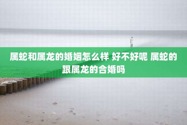 属蛇和属龙的婚姻怎么样 好不好呢 属蛇的跟属龙的合婚吗
