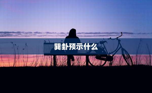 巽卦预示什么