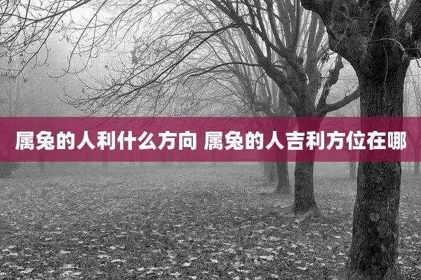 属兔的人利什么方向 属兔的人吉利方位在哪
