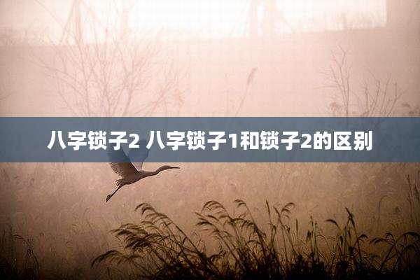 八字锁子2 八字锁子1和锁子2的区别