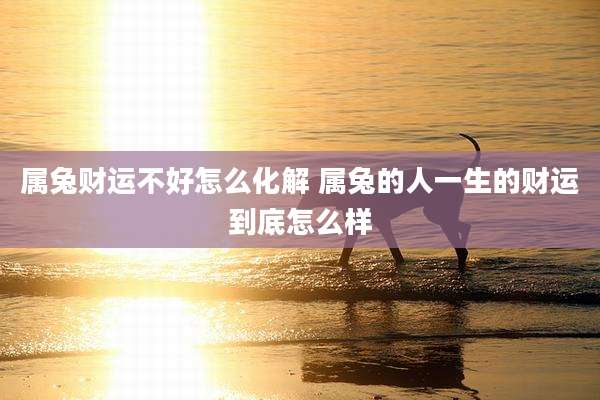 属兔财运不好怎么化解 属兔的人一生的财运到底怎么样