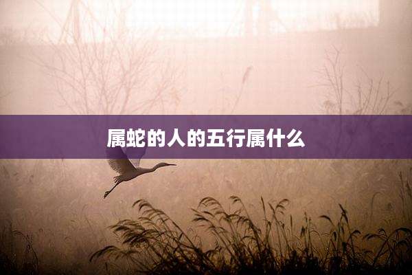 属蛇的人的五行属什么
