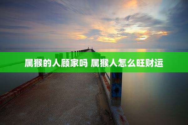 属猴的人顾家吗 属猴人怎么旺财运