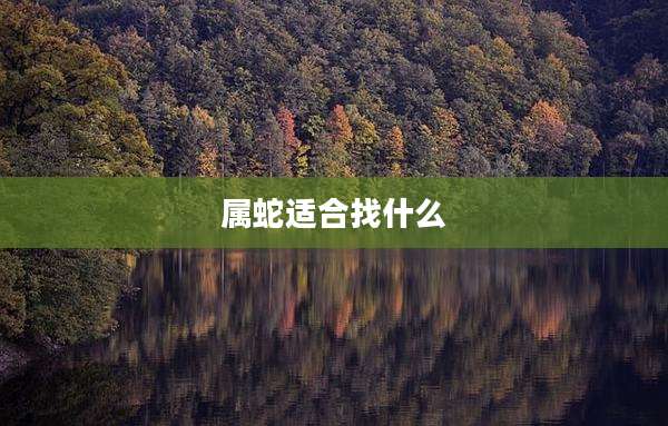 属蛇适合找什么