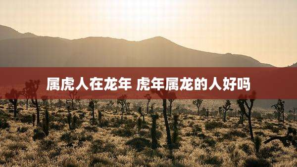 属虎人在龙年 虎年属龙的人好吗
