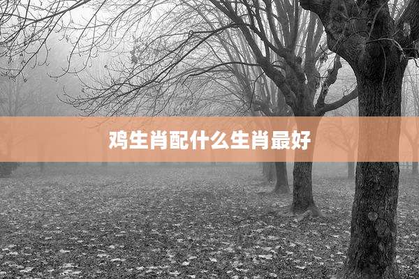 鸡生肖配什么生肖最好