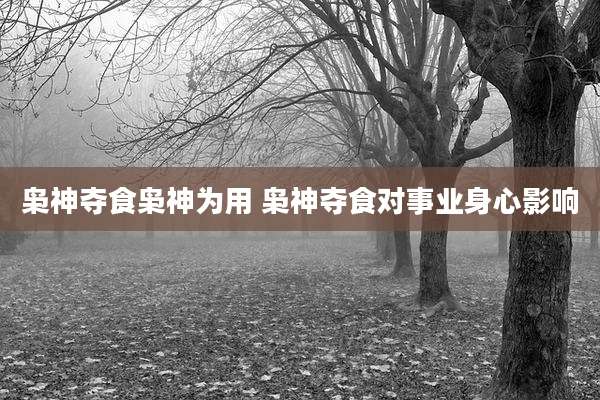 枭神夺食枭神为用 枭神夺食对事业身心影响