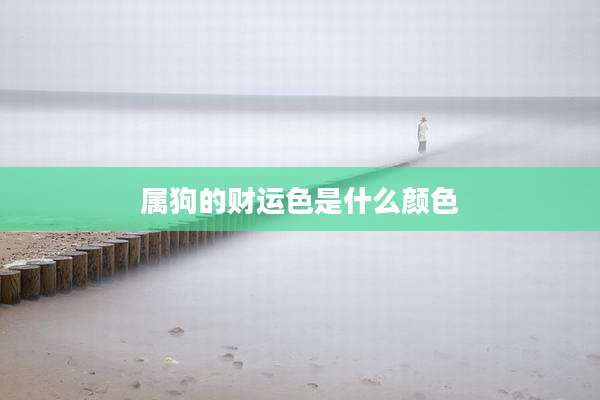 属狗的财运色是什么颜色