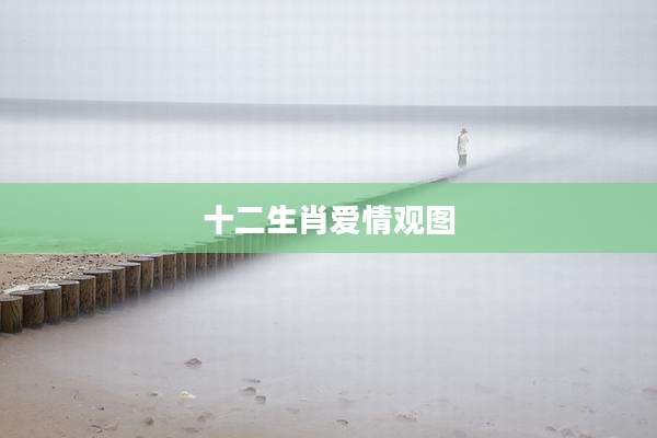 十二生肖爱情观图
