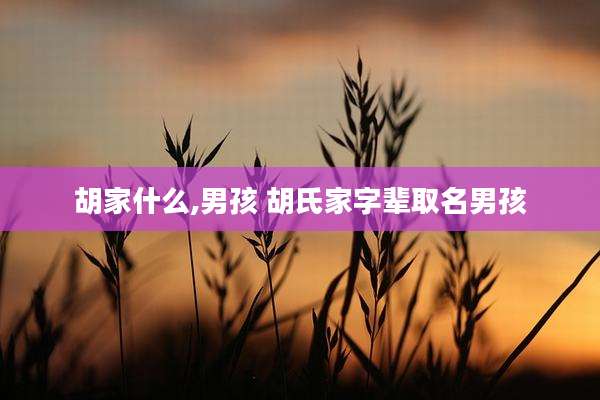 胡家什么,男孩 胡氏家字辈取名男孩