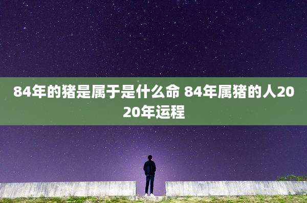 84年的猪是属于是什么命 84年属猪的人2020年运程