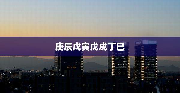 庚辰戊寅戊戌丁巳