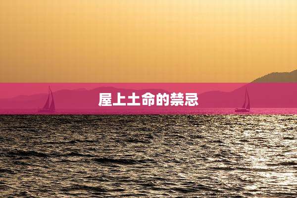 屋上土命的禁忌