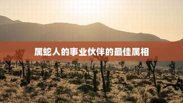 属蛇人的事业伙伴的最佳属相