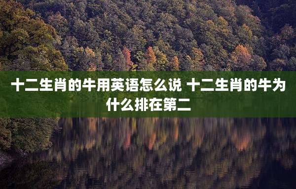 十二生肖的牛用英语怎么说 十二生肖的牛为什么排在第二