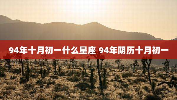 94年十月初一什么星座 94年阴历十月初一