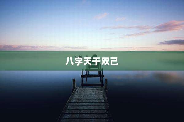 八字天干双己