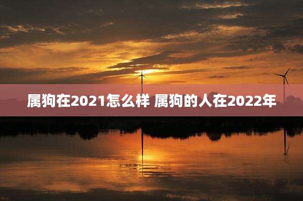 属狗在2021怎么样 属狗的人在2022年