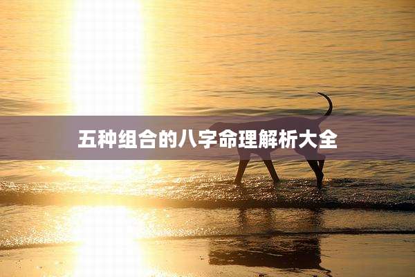 五种组合的八字命理解析大全