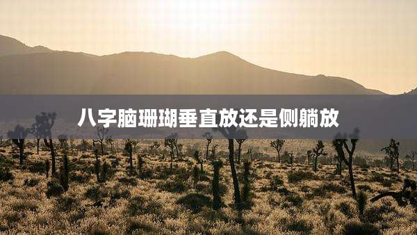 八字脑珊瑚垂直放还是侧躺放