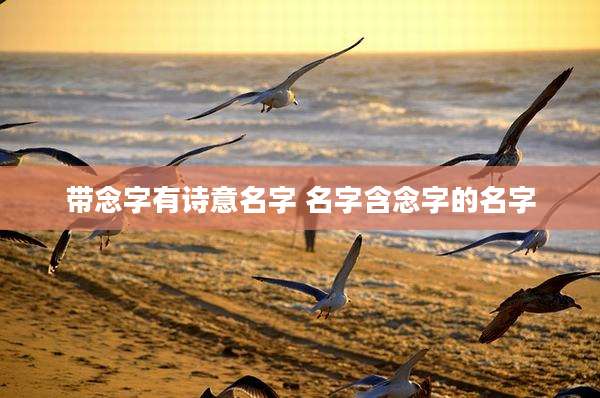 带念字有诗意名字 名字含念字的名字