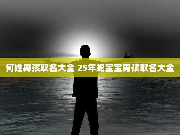 何姓男孩取名大全 25年蛇宝宝男孩取名大全