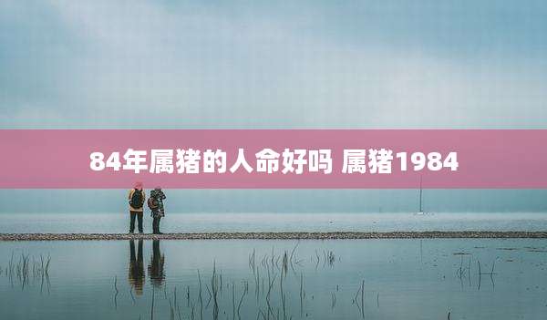 84年属猪的人命好吗 属猪1984