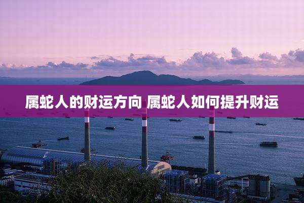 属蛇人的财运方向 属蛇人如何提升财运