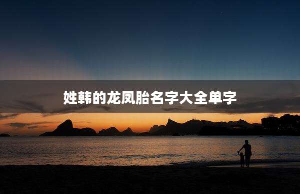 姓韩的龙凤胎名字大全单字