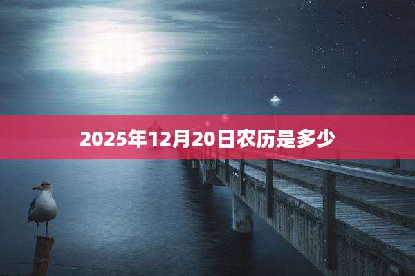 2025年12月20日农历是多少