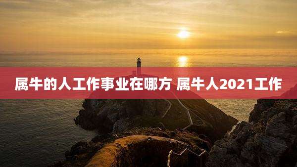 属牛的人工作事业在哪方 属牛人2021工作