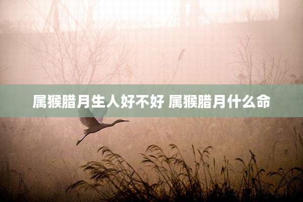 属猴腊月生人好不好 属猴腊月什么命