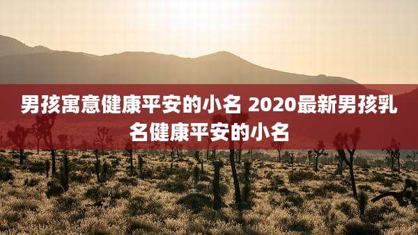 男孩寓意健康平安的小名 2020最新男孩乳名健康平安的小名