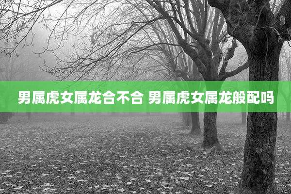 男属虎女属龙合不合 男属虎女属龙般配吗