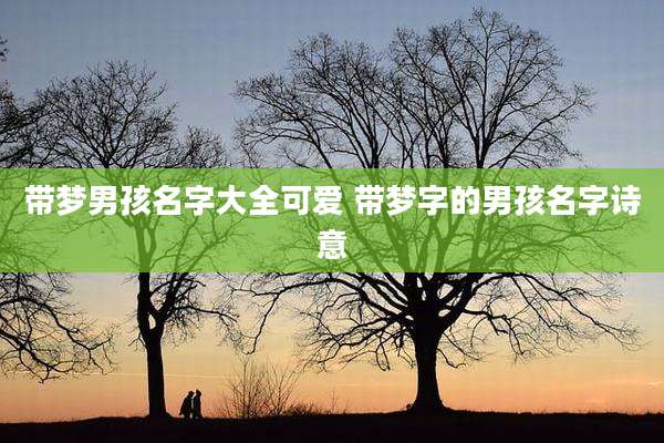 带梦男孩名字大全可爱 带梦字的男孩名字诗意