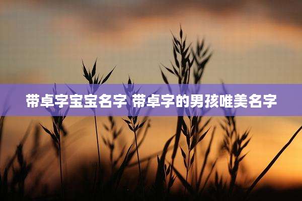 带卓字宝宝名字 带卓字的男孩唯美名字