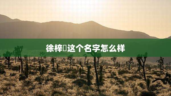 徐梓垚这个名字怎么样