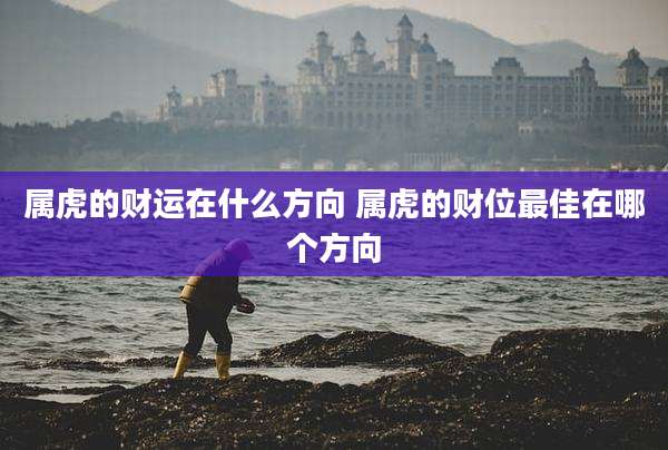 属虎的财运在什么方向 属虎的财位最佳在哪个方向