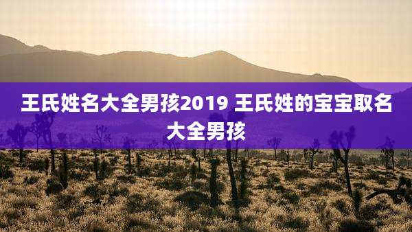王氏姓名大全男孩2019 王氏姓的宝宝取名大全男孩