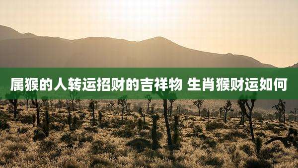 属猴的人转运招财的吉祥物 生肖猴财运如何