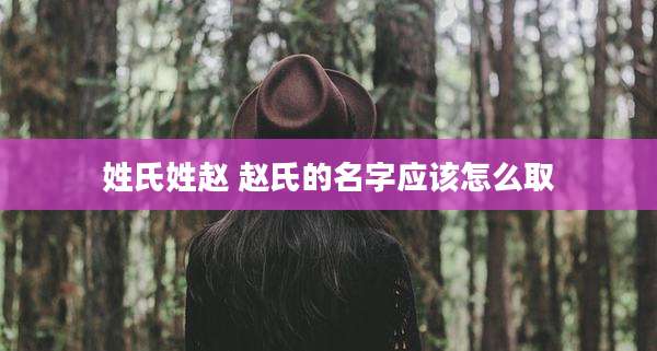 姓氏姓赵 赵氏的名字应该怎么取