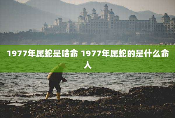 1977年属蛇是啥命 1977年属蛇的是什么命人